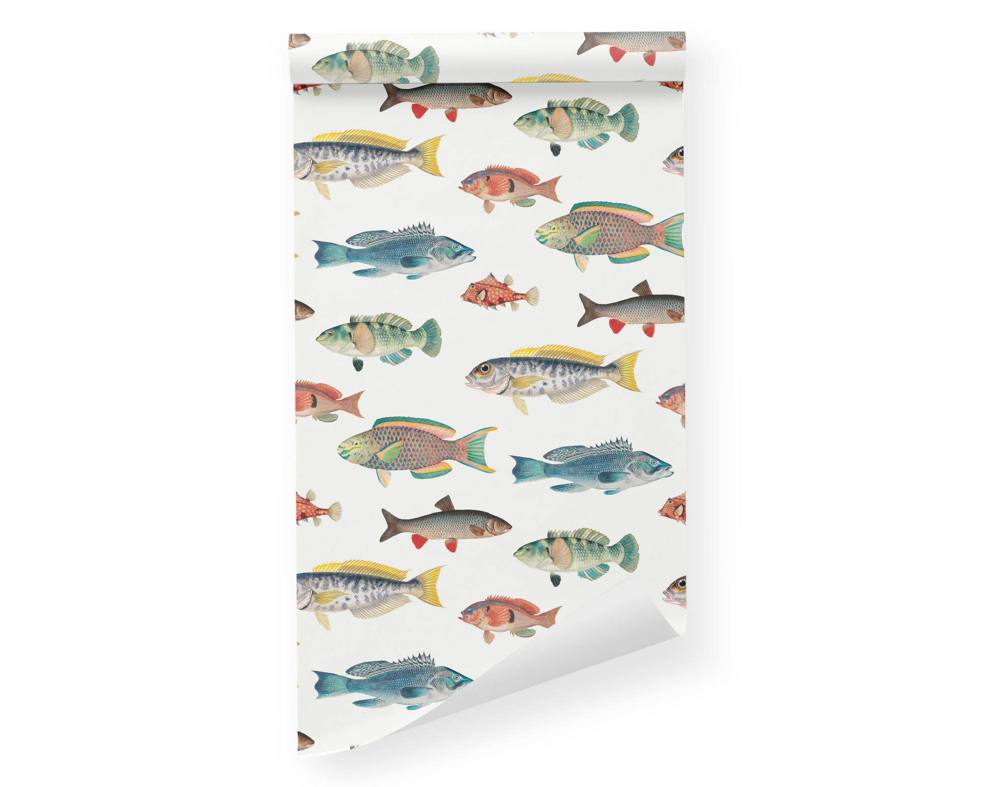 Ocean Fish Peel and Stick Removable